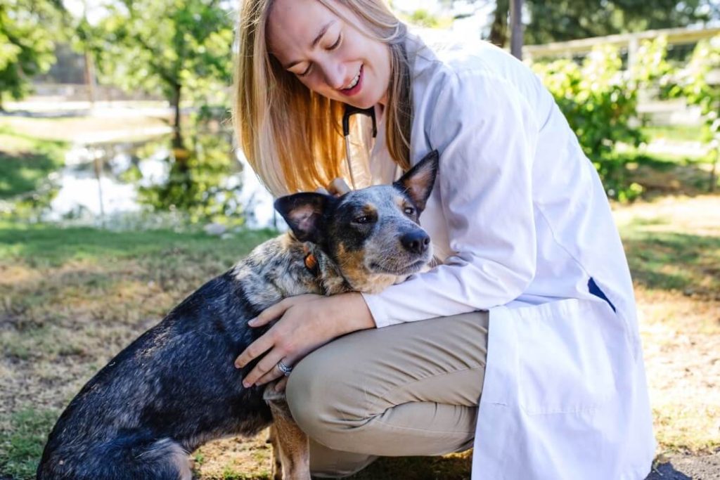 common-household-hazards-for-pets-01